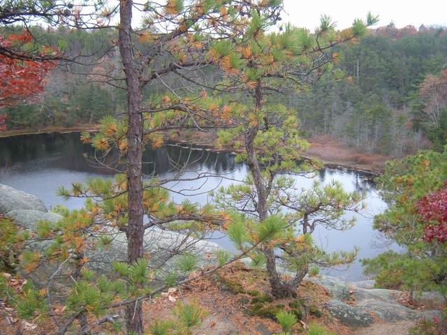 Picture 272.jpg